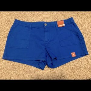 Arizona Jean Co royal blue Shortie shorts 15